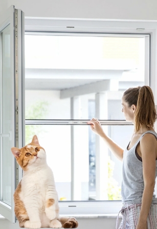 Stor Kedi Sinekliği